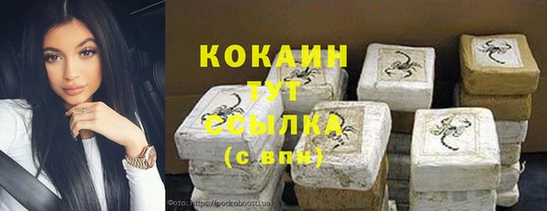 гашик Пересвет