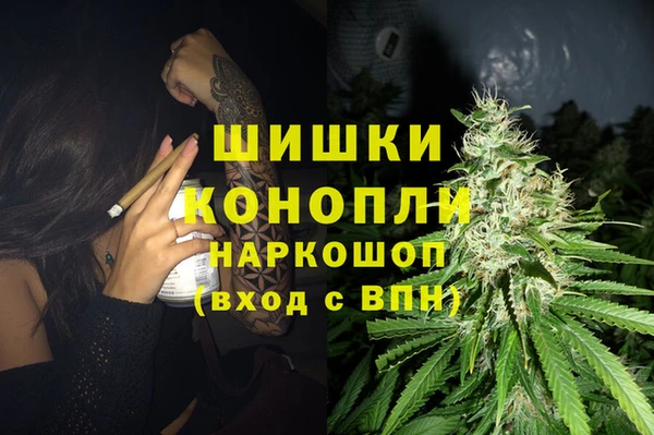 трава Осинники