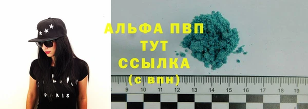 трава Осинники
