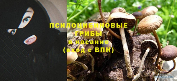 метадон Осташков