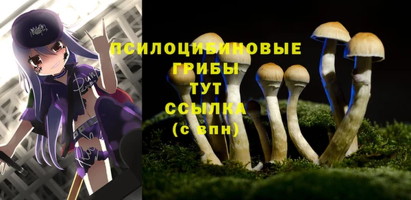 метадон Осташков