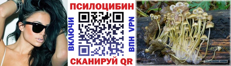 Купить закладки  Камень-на-Оби  Галлюциногенные грибы ЛСД 
